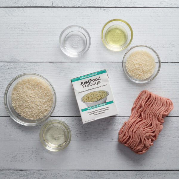 PantryFresh Gastrointestinal Dog Food Low Residue Balanced Diet